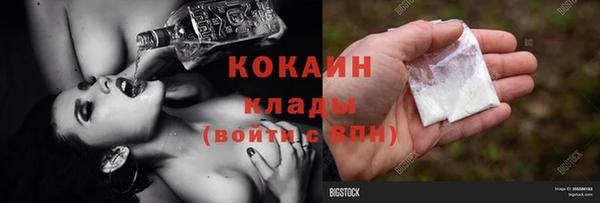 кокс Богородицк